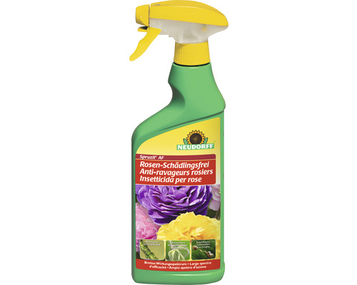 Anti-parasitaire pour roses Vaporisateur à pompe Spruzit® AF Neudorff 500 ml