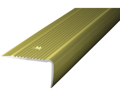 Nez de marche Prinz aluminium sahara perforé 45 x 23 x 1000 mm Profil de bordure d''escalier en aluminium avec surface rainurée