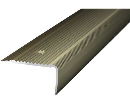 Nez de marche Prinz aluminium acier inoxydable mat perforé 45 x 23 x 1000 mm