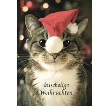 Weihnachtskarte mit Katze und Weihnachtsmannmütze