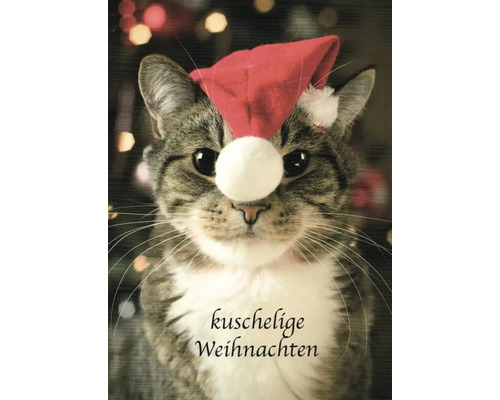 Weihnachtspostkarte Kuschelige Weihnachten 10,5x14,8 cm Weihnachtskarte mit Katze und Weihnachtsmannmütze