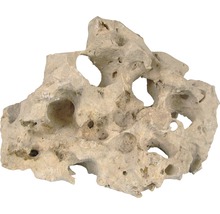 Aquariumdekoration Stein Sansibar Rock XL 1 Stück-thumb-1 Aquariumdekoration Stein Sansibar Rock XL 1 Stück-thumb-1