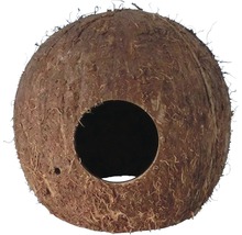 Maison de noix de coco avec trou d''entrée