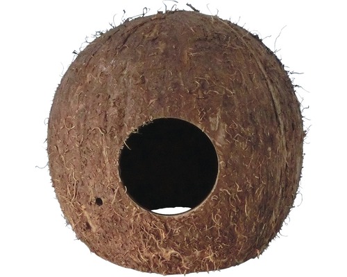 Maison de noix de coco avec trou d''entrée