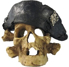 Aquariumdekoration Totenkopf medium-thumb-0 Aquariumdekoration Totenkopf medium-thumb-0