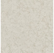 Carrelage clair aspect marbre pour intérieur