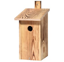 Vogelhaus aus Holz mit Loch