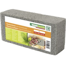 Mousse de fleuriste pour fleurs séchées, dimensions 22,5 x 10,5 x 6,5 centimètres