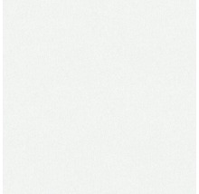 Surface blanche unie.