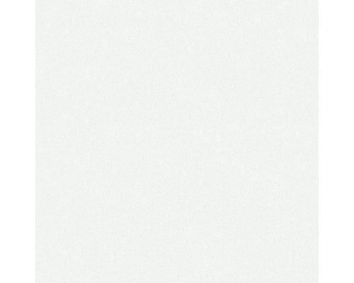 Surface blanche unie.