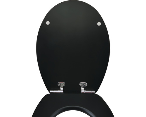 Toilettendeckel aus Holz mit Chrombeschlägen