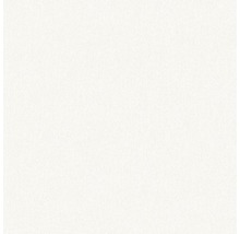 Arrière-plan blanc, légèrement texturé.