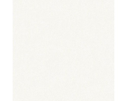 Arrière-plan blanc, légèrement texturé.