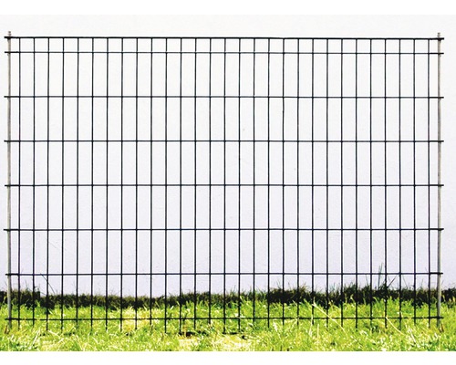 Clôture en fil de fer devant une pelouse