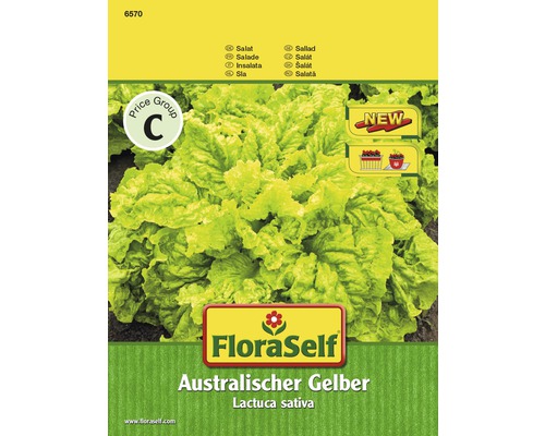 Schnittsalat 'Australischer Gelber' FloraSelf samenfestes Saatgut Salatsamen