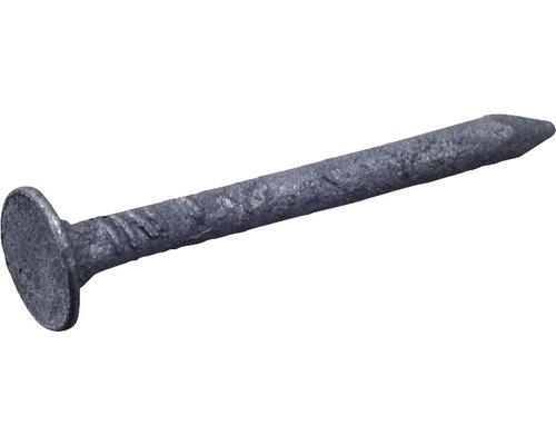Dachpappstifte 2,8 x 20 mm feuerverzinkt 1 kg Ein einzelner Eisennagel mit flachem Kopf