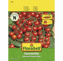 Tomate 'Gourmelito' FloraSelf F1 Hybride Gemüsesamen-thumb-0