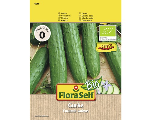 Concombre bio 'Marketmore' FloraSelf Bio semences stables semences de légumes