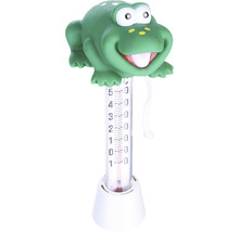 Frosch Badethermometer zur Temperaturmessung