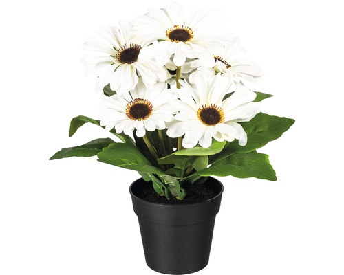 Fleur artificielle gerbera dans un pot en plastique h 27 cm blanc