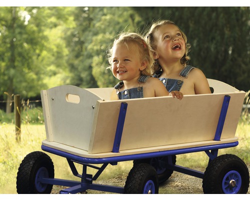 Deux enfants sont assis dans un chariot à bras avec une structure en bois et un cadre en métal bleu.