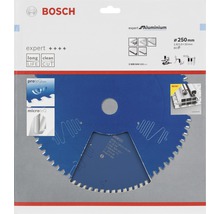Bosch Kreissägeblatt Expert for Aluminium Ø 250x30 mm Z 80