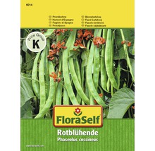 Samenpackung der FloraSelf rotblühenden Prunkbohne