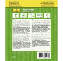 Samenpackung mit rotblühenden Stangenbohnen der Marke FloraSelf