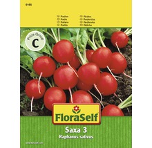 FloraSelf Radieschen Saxa 3 Samenpackung
