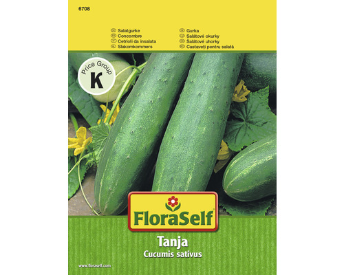 Concombre 'Tanja' FloraSelf semences stables semences de légumes