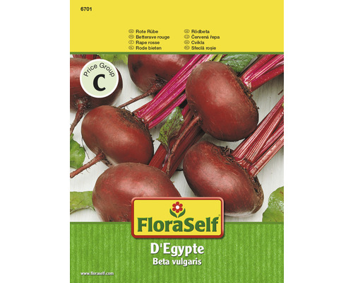 Rote Beete 'D'Egypte' FloraSelf samenfestes Saatgut Gemüsesamen