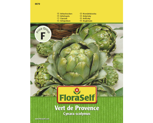 Artichaut 'Vert de Provence' FloraSelf semences stables semences de légumes