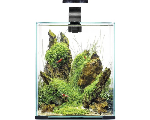 Aquarium Juwel Lido 200 avec éclairage LED, pompe, filtre, chauffage sans  meuble bas gris - HORNBACH