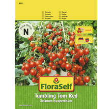 FloraSelf Tumbling Tom Red Tomatensamen