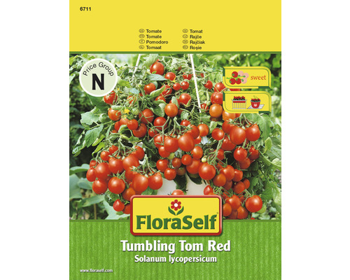 Tomate 'Tumbling Tom Red' FloraSelf samenfestes Saatgut Gemüsesamen-0