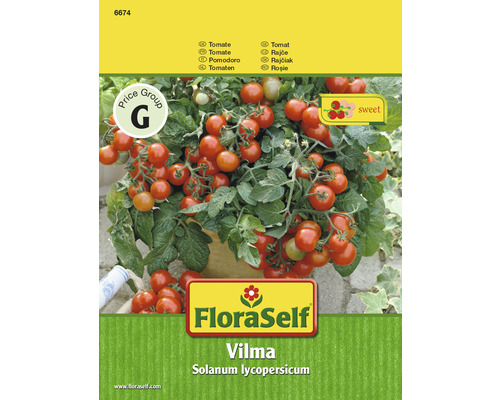 Graines de tomate 'Vilma, F1' FloraSelf