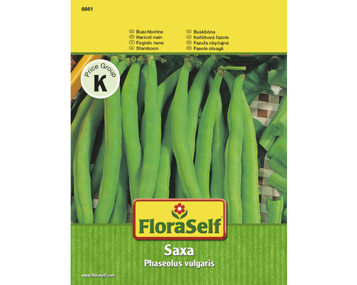 Haricots nains 'Saxa' FloraSelf semences stables semences de légumes