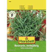 FloraSelf Rosmarin mehrjährig Samenpackung