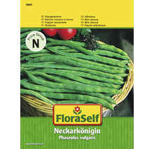 FloraSelf Neckarkönigin Stangenbohne Samenpackung