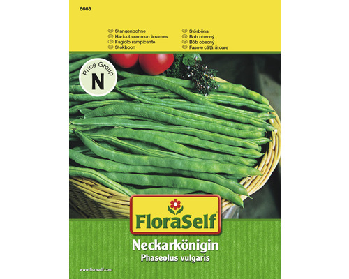Haricots à rames 'Neckarkönigin' FloraSelf semences stables semences de légumes