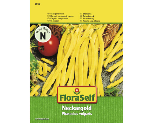 Stangenbohnen ‘Neckargold‘ FloraSelf samenfestes Saatgut Gemüsesamen