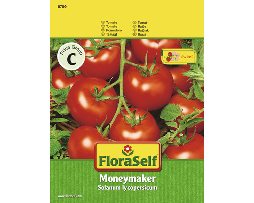 Tomate 'Moneymaker' FloraSelf semences de légumes non-hybrides