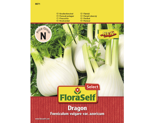 Knollenfenchel 'Dragon' FloraSelf F1 Hybride Gemüsesamen