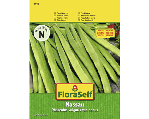 Haricots nains 'Nassau' FloraSelf semences stables semences de légumes