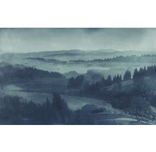 Paysage avec montagnes et arbres dans le brouillard