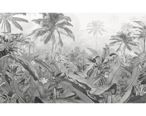 Papier peint panoramique intissé P013-VD4 Pure Amazonia Black and White 4 pces 400 x 250 cm