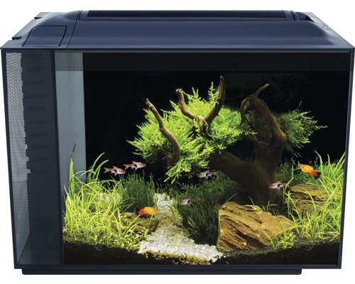 Aquarium FLUVAL Spec XV 60 l avec éclairage LED et système de filtre noir