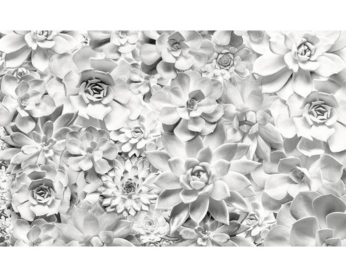 Papier peint panoramique intissé P962-VD4 Pure Shades Black and White 4 pces 400 x 250 cm Papier peint panoramique intissé P962-VD4 Pure Shades Black and White 4 pces 400 x 250 cm