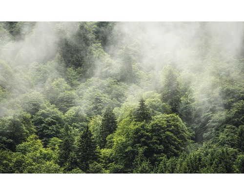 Papier peint panoramique intissé PSH061-VD4 Pure Forest Land 4 pces 400 x 250 cm
