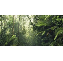 Dschungel mit dichter Vegetation und Bäumen
